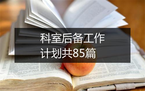 科室后备工作计划共85篇