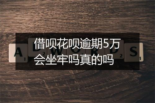 借呗花呗逾期5万会坐牢吗真的吗