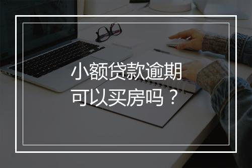 小额贷款逾期可以买房吗？