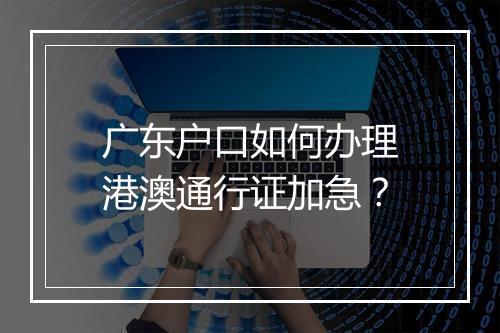 广东户口如何办理港澳通行证加急？