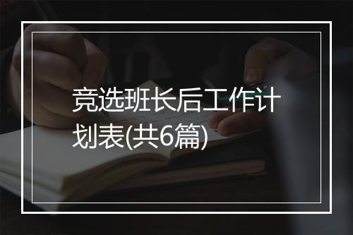 竞选班长后工作计划表(共6篇)