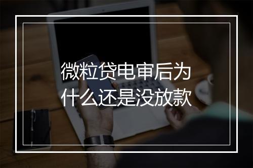 微粒贷电审后为什么还是没放款