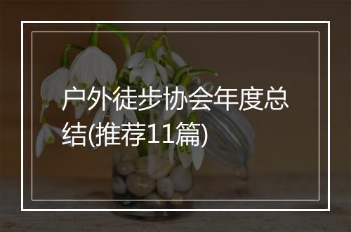 户外徒步协会年度总结(推荐11篇)