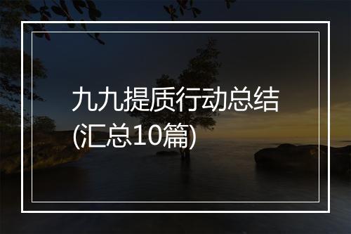 九九提质行动总结(汇总10篇)