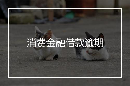 消费金融借款逾期