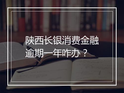 陕西长银消费金融逾期一年咋办？