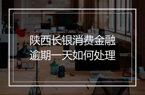 陕西长银消费金融逾期一天如何处理