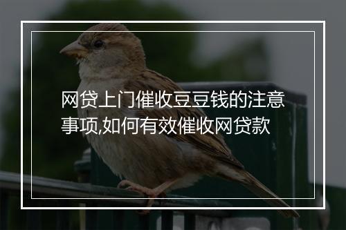 网贷上门催收豆豆钱的注意事项,如何有效催收网贷款