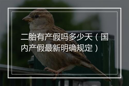 二胎有产假吗多少天（国内产假最新明确规定）