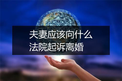 夫妻应该向什么法院起诉离婚