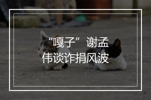 “嘎子”谢孟伟谈诈捐风波