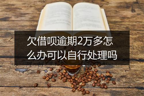 欠借呗逾期2万多怎么办可以自行处理吗