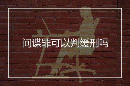 间谍罪可以判缓刑吗
