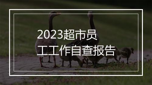 2023超市员工工作自查报告