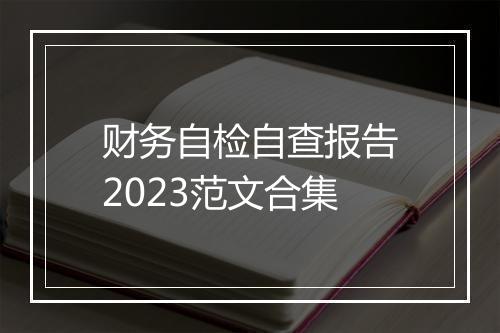 财务自检自查报告2023范文合集