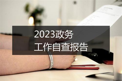 2023政务工作自查报告