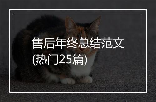 售后年终总结范文(热门25篇)