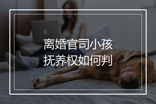 离婚官司小孩抚养权如何判