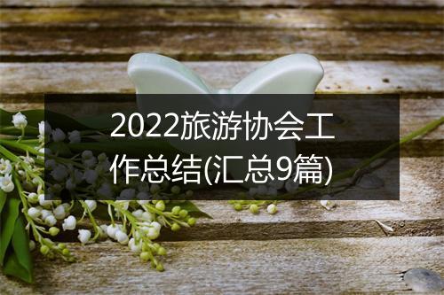 2022旅游协会工作总结(汇总9篇)
