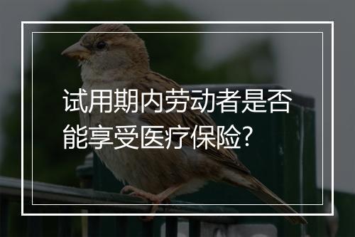 试用期内劳动者是否能享受医疗保险?