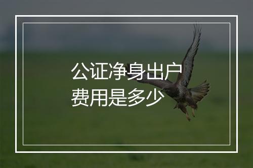 公证净身出户费用是多少