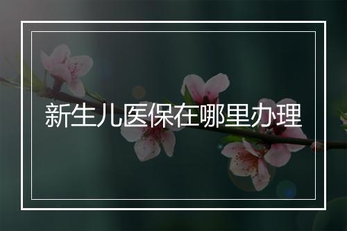 新生儿医保在哪里办理