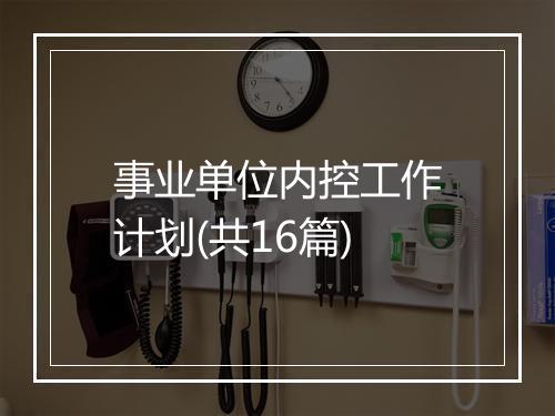 事业单位内控工作计划(共16篇)