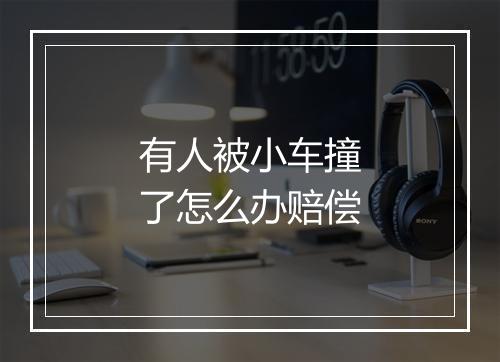 有人被小车撞了怎么办赔偿