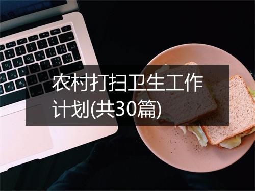 农村打扫卫生工作计划(共30篇)