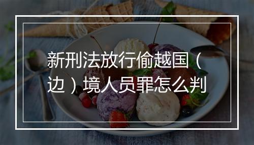 新刑法放行偷越国（边）境人员罪怎么判