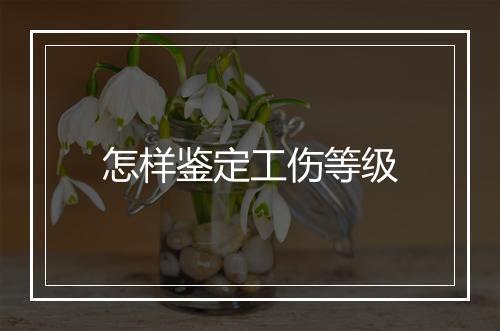 怎样鉴定工伤等级