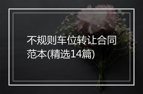 不规则车位转让合同范本(精选14篇)