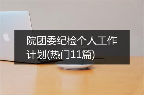 院团委纪检个人工作计划(热门11篇)