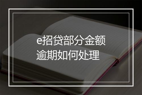 e招贷部分金额逾期如何处理