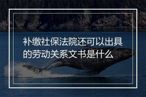 补缴社保法院还可以出具的劳动关系文书是什么