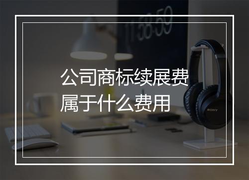 公司商标续展费属于什么费用