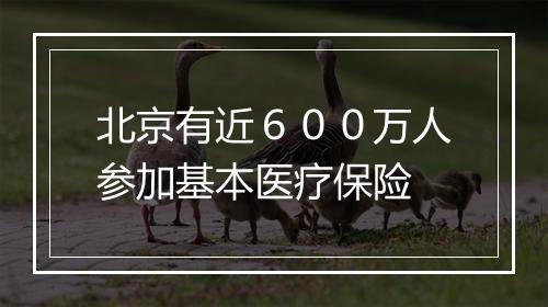 北京有近６００万人参加基本医疗保险