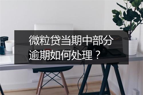 微粒贷当期中部分逾期如何处理？