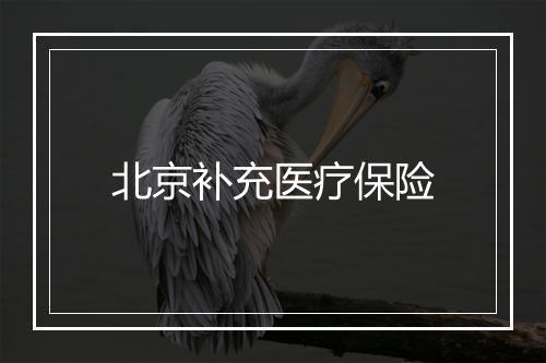 北京补充医疗保险