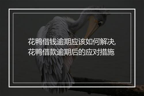 花鸭借钱逾期应该如何解决,花鸭借款逾期后的应对措施