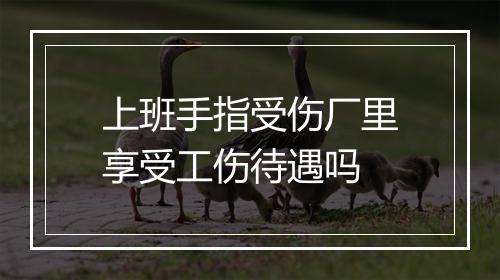 上班手指受伤厂里享受工伤待遇吗