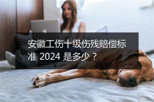 安徽工伤十级伤残赔偿标准 2024 是多少？