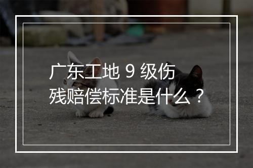 广东工地 9 级伤残赔偿标准是什么？