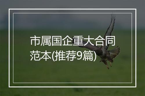 市属国企重大合同范本(推荐9篇)