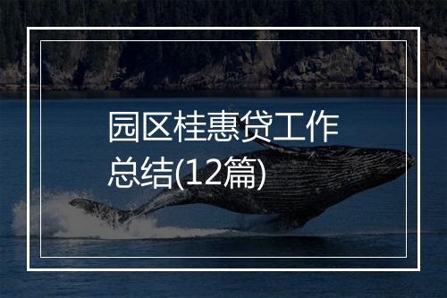 园区桂惠贷工作总结(12篇)