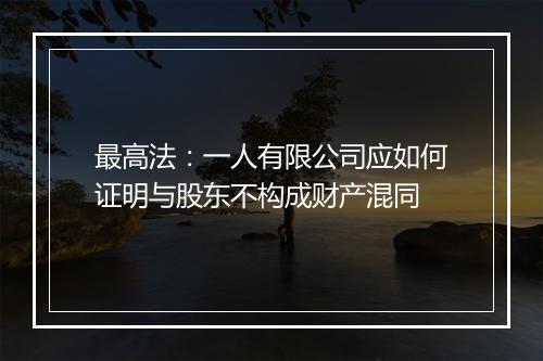 最高法：一人有限公司应如何证明与股东不构成财产混同