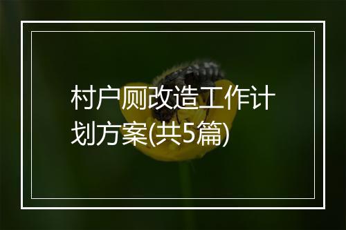 村户厕改造工作计划方案(共5篇)