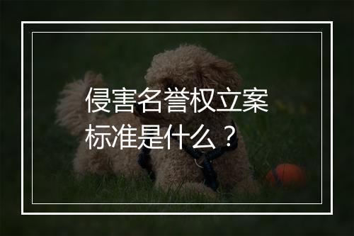 侵害名誉权立案标准是什么？