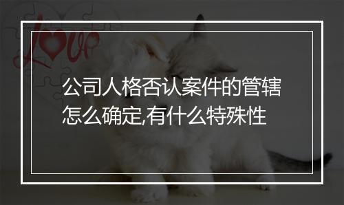 公司人格否认案件的管辖怎么确定,有什么特殊性