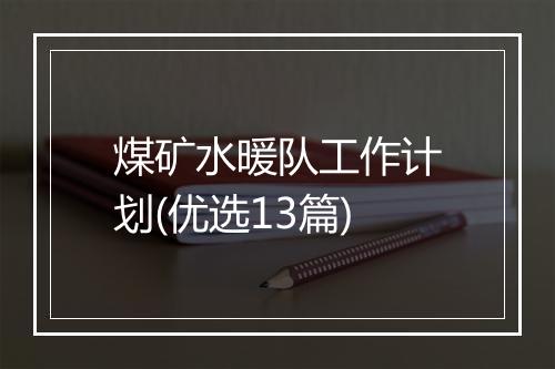 煤矿水暖队工作计划(优选13篇)